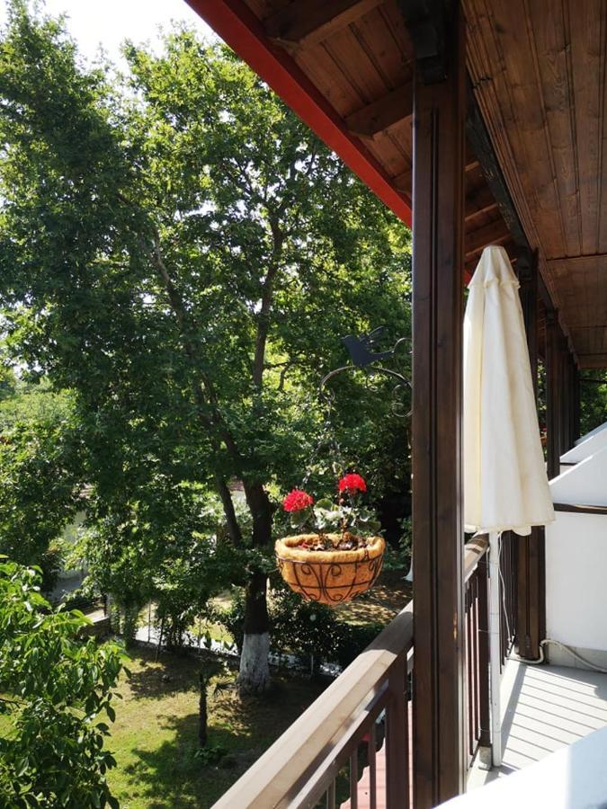 Achillion B&B Paralía Skotínis 외부 사진