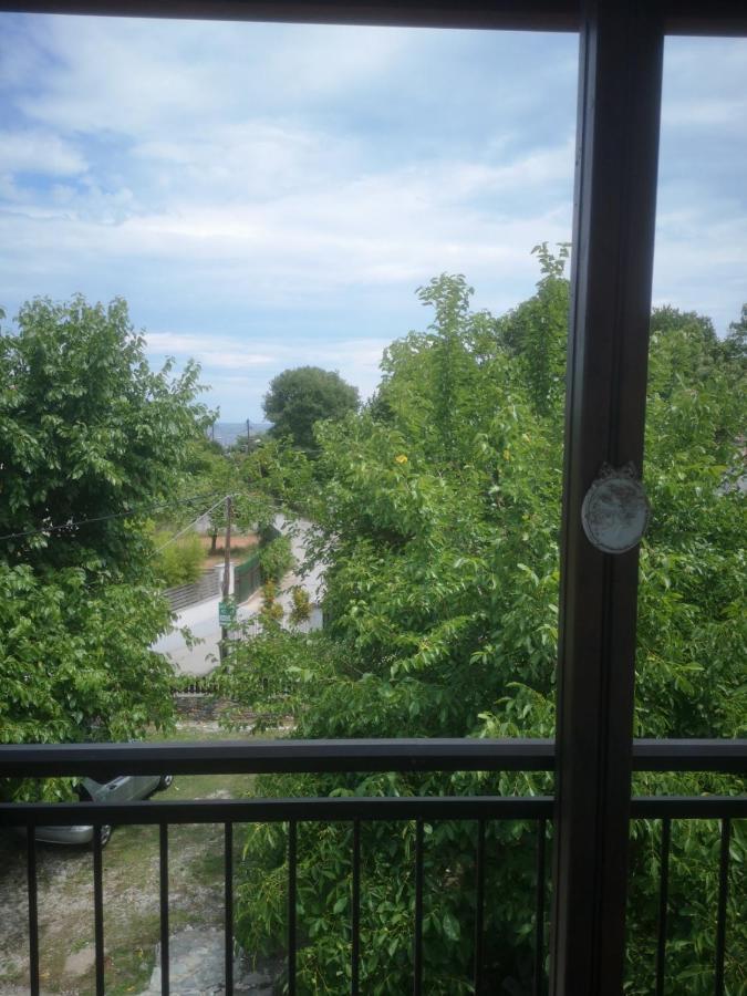 Achillion B&B Paralía Skotínis 외부 사진