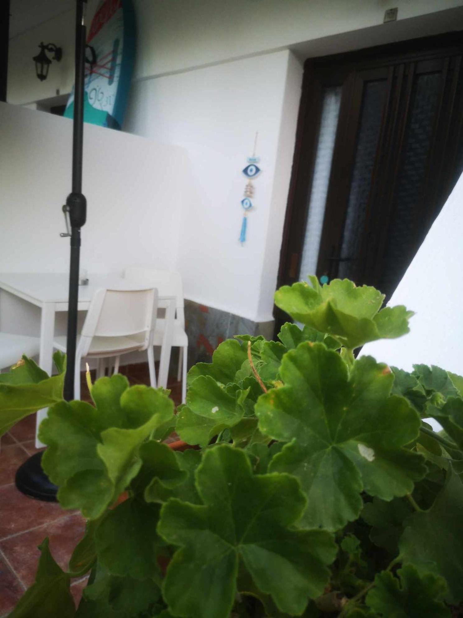 Achillion B&B Paralía Skotínis 외부 사진